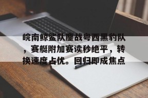 九游电脑版修改-皖南鲸鲨队鏖战粤西黑豹队，赛艇附加赛读秒绝平，转换速度占优。回归即成焦点的简单介绍